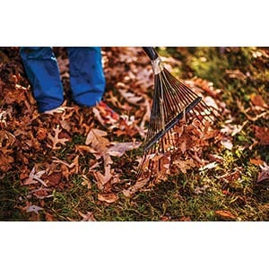 Safe and effective ways to clean up leaves